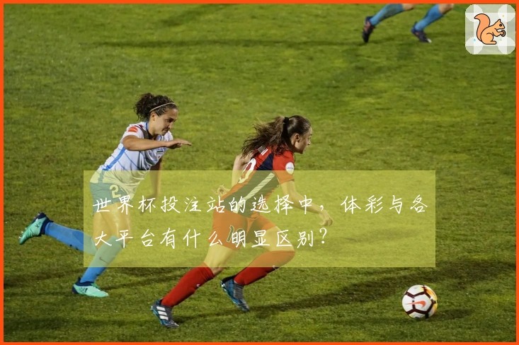 世界杯投注站的选择中，体彩与各大平台有什么明显区别？